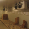 Cold Storage